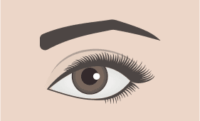 Hard Angled eyebrow shape illustration