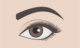 Natural eyebrow shape illustration
