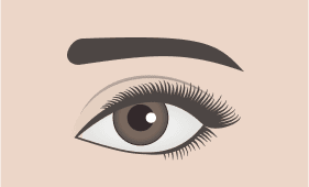 Straight eyebrow shape illustration