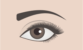 Tapered eyebrow shape illustration