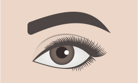 Thick eyebrow shape illustration