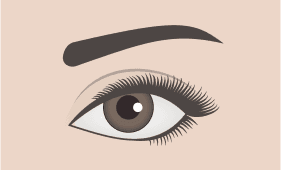 Upward eyebrow shape illustration