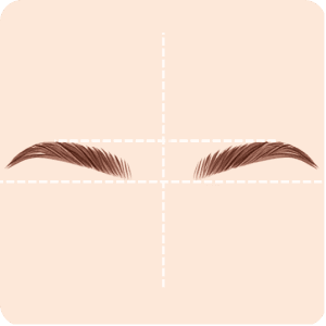 Eyebrows symmetry