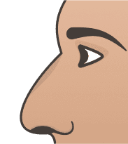 Fleshy Nose illustration