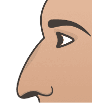 Hawk Nose illustration