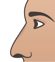 Nubian Nose illustration