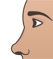 Snub Nose illustration