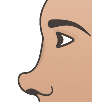 Turned Up Nose illustration