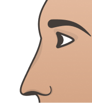 Straight (Greek) Nose